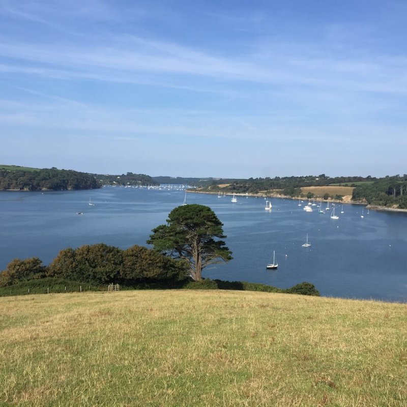 A view of the Helford River from a hill looking down at trees and boats